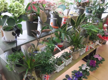 「さいとう生花店　鳴門店」　（徳島県鳴門市）の花屋店舗写真3